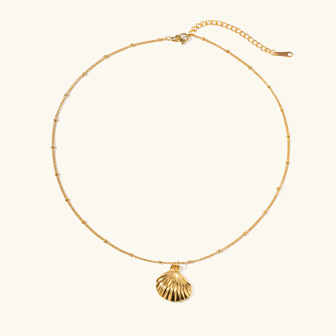 The Amelia Shell Necklace